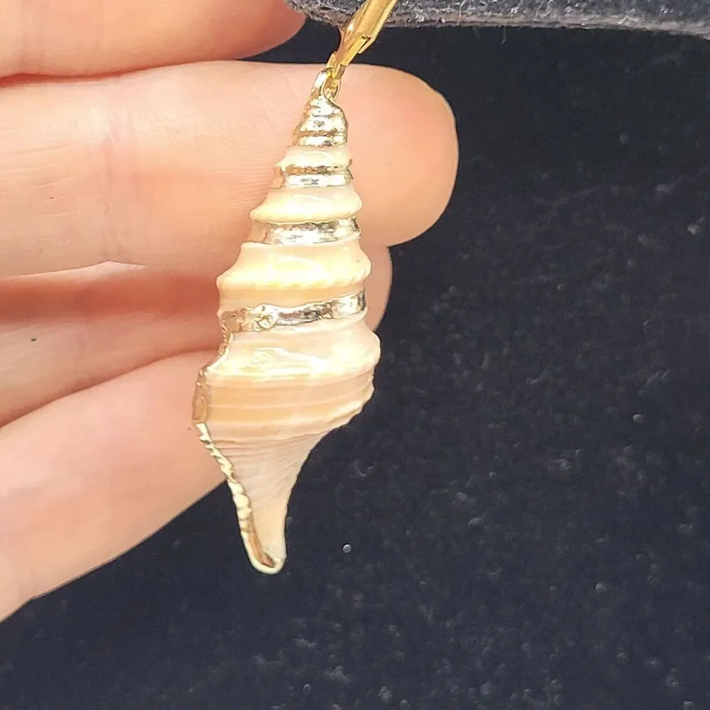 Natural Conch Shell Earrings with Gold Edging 2.25in